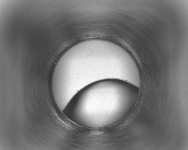 X0000061720257200512021050