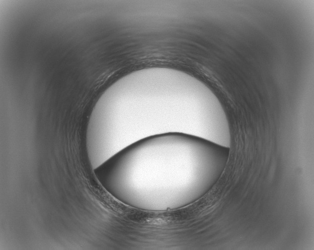 X0000061720259200512021050