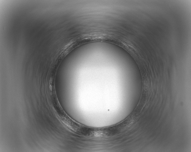 X0000061720264200512021050
