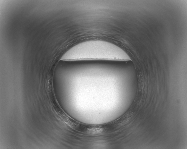 X0000061720266200512021050