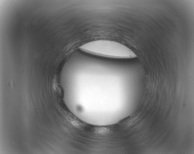 X0000061720287200512021050