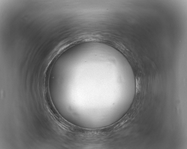 X0000061720291200512021050
