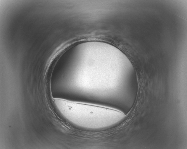 X0000061720295200512021050