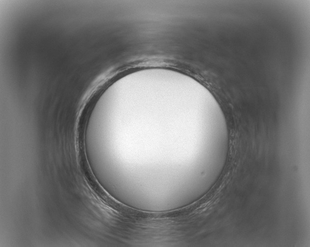 X0000061720296200512021050