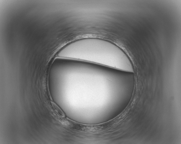 X0000061720297200512021049