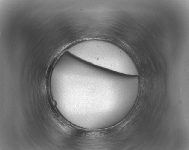 X0000061720298200512021049
