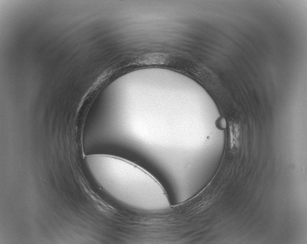 X0000061720300200512021049