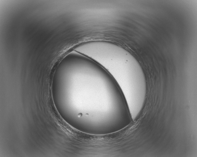 X0000061720301200512021049