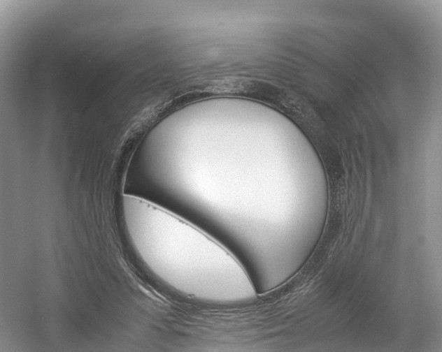 X0000061720303200512021049