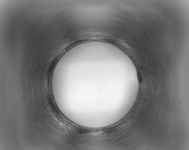 X0000061720306200512021049