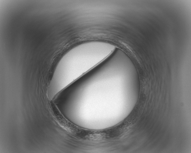 X0000061720307200512021049