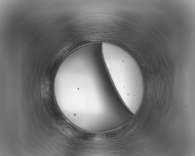 X0000061720308200512021049