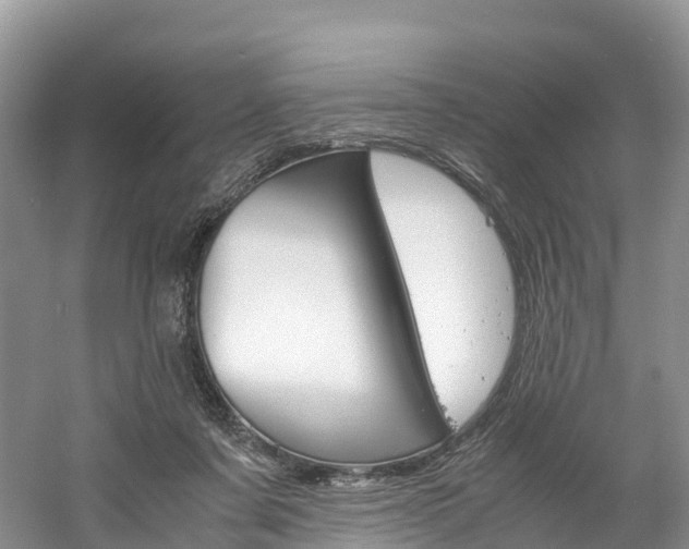 X0000061720311200512021049