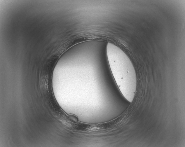 X0000061720315200512021049