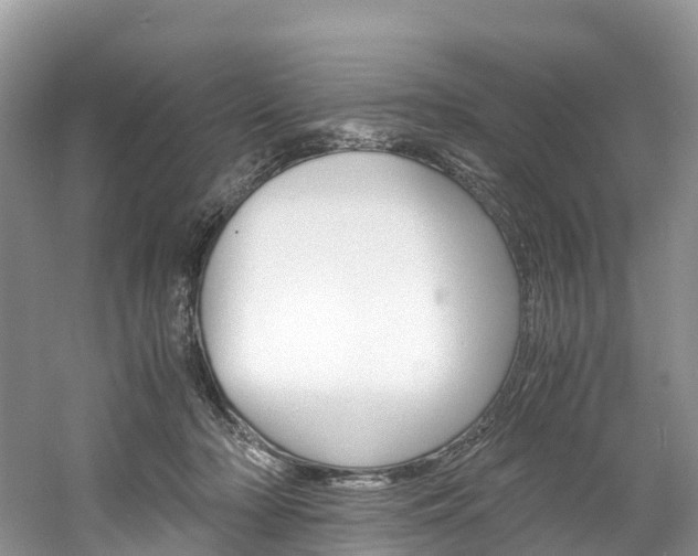 X0000061720318200512021049