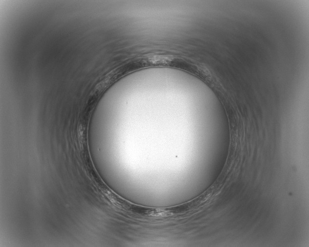 X0000061720321200512021049