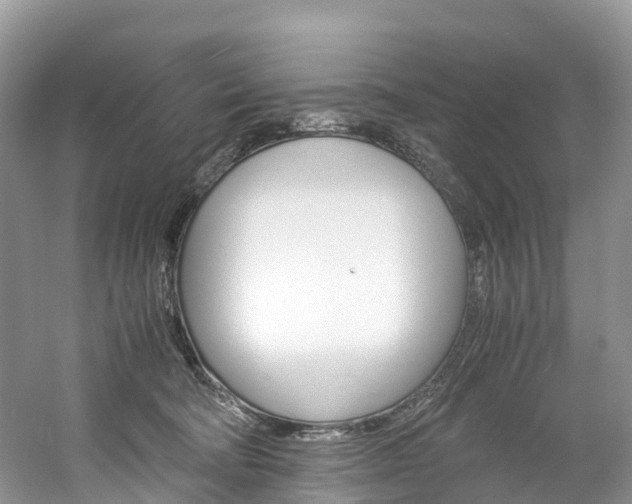 X0000061720322200512021049