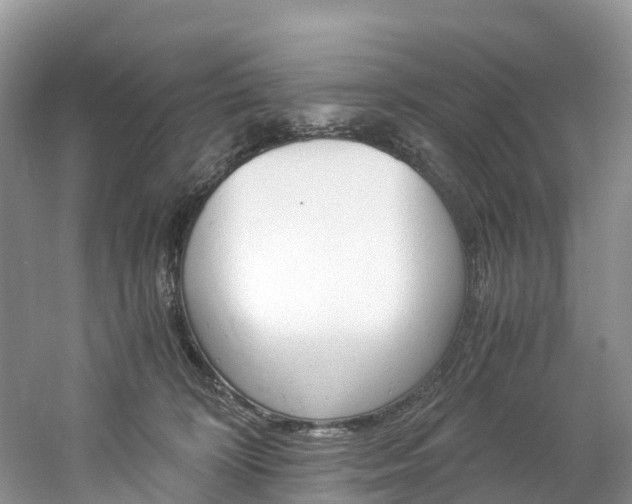 X0000061720324200512021049
