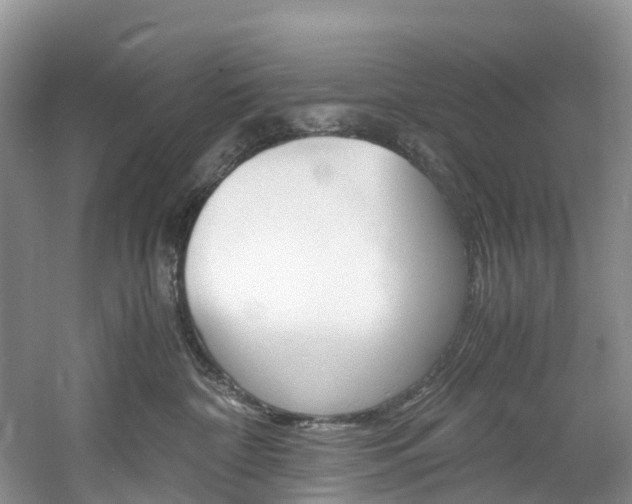 X0000061720332200512021049