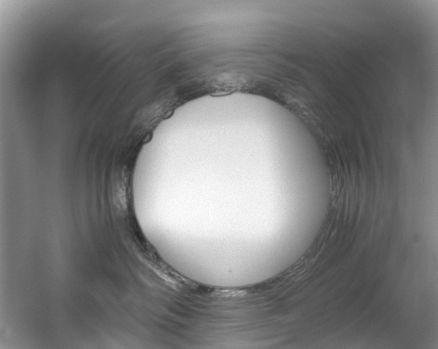 X0000061720334200512021049