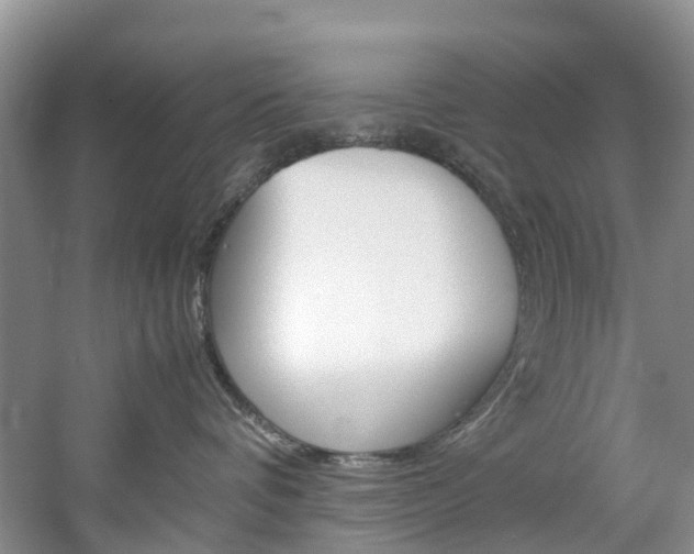 X0000061720336200512021049