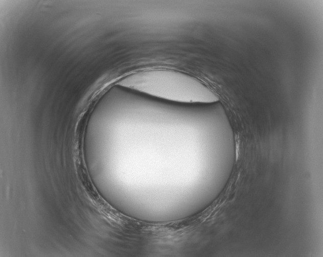 X0000061720339200512021048