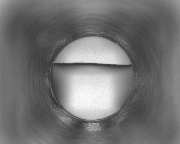 X0000061720361200512021048