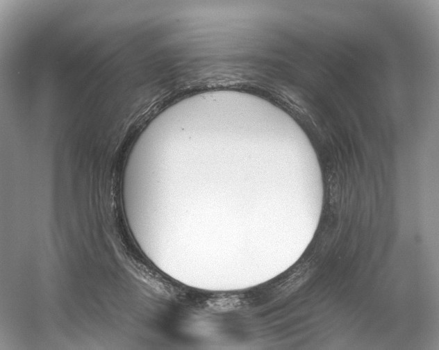 X0000061720362200512021048