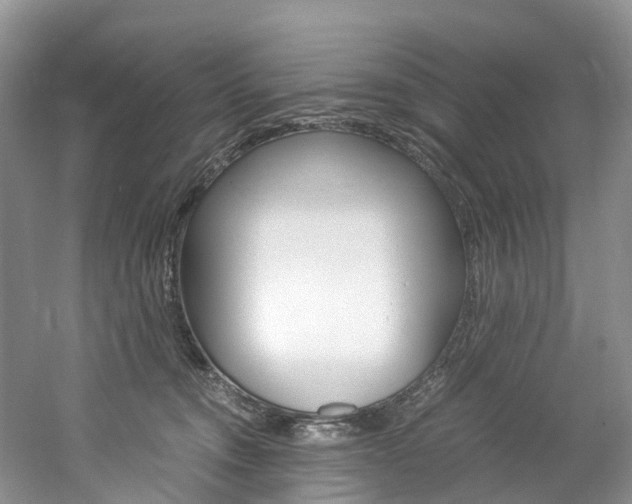 X0000061720372200512021049
