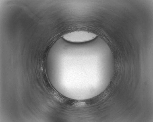 X0000061720374200512021049