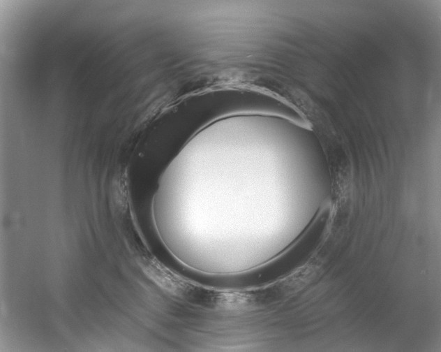 X0000061720376200512021049