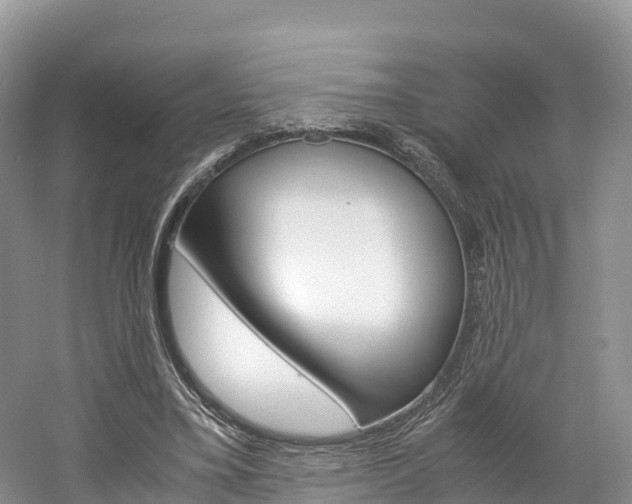 X0000061720395200512021048