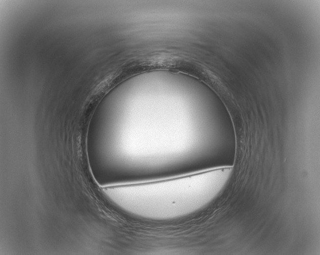 X0000061720403200512021048
