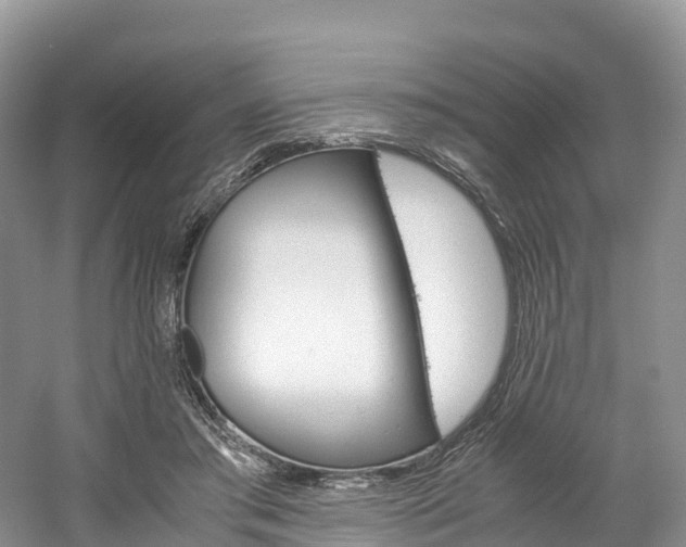 X0000061720405200512021048