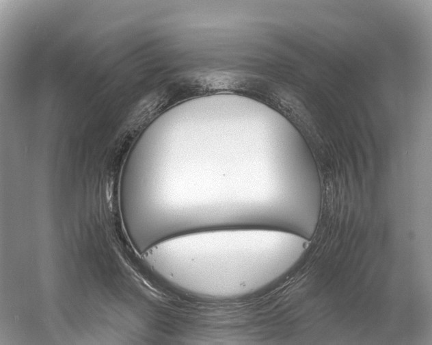 X0000061720406200512021048