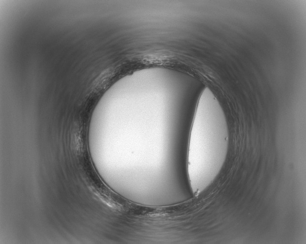 X0000061720408200512021048
