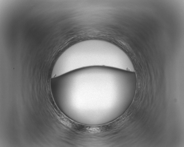 X0000061720409200512021048