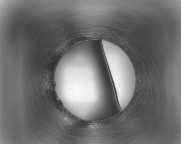 X0000061720416200512021047