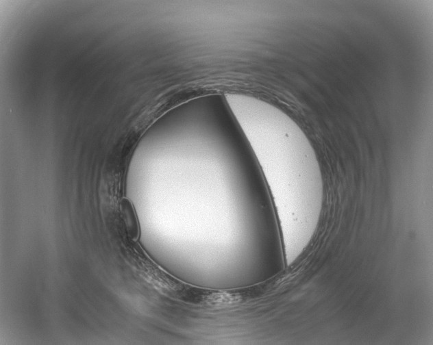 X0000061720421200512021047