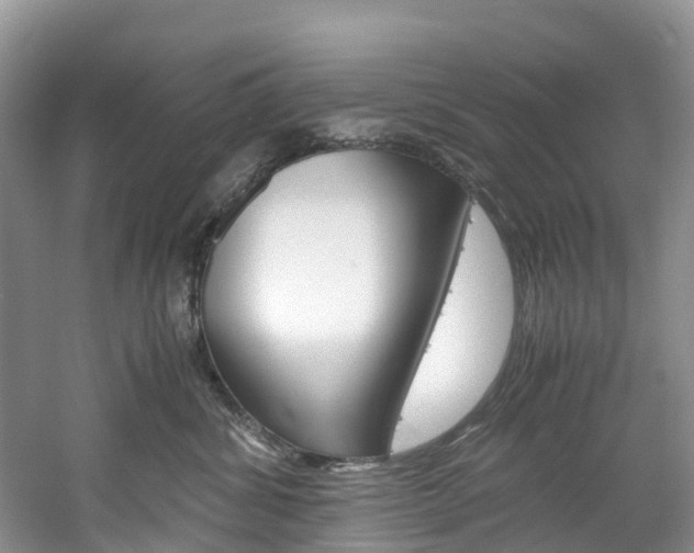 X0000061720428200512021047