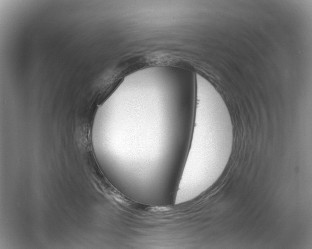 X0000061720429200512021047