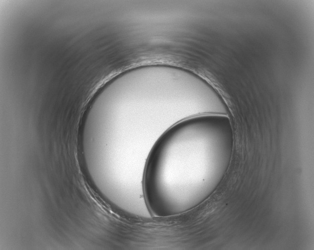 X0000061720434200512021046