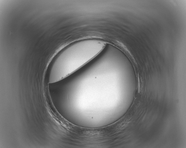 X0000061720435200512021046