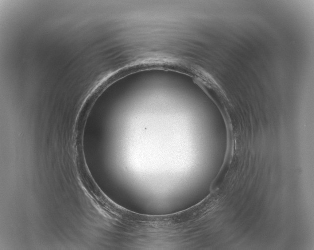 X0000061720436200512021046