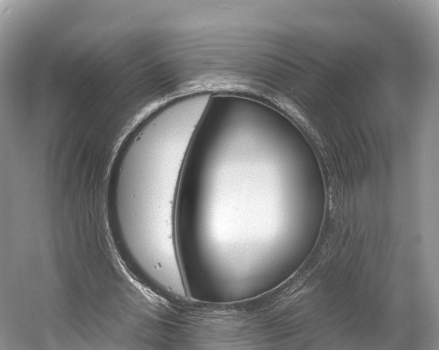 X0000061720438200512021046