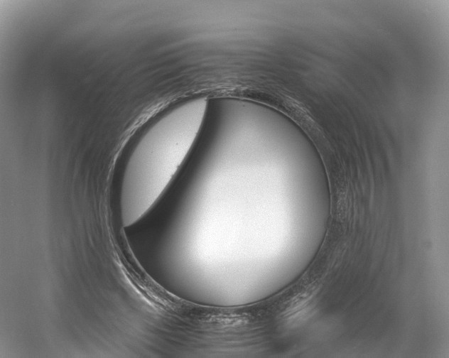 X0000061720443200512021046