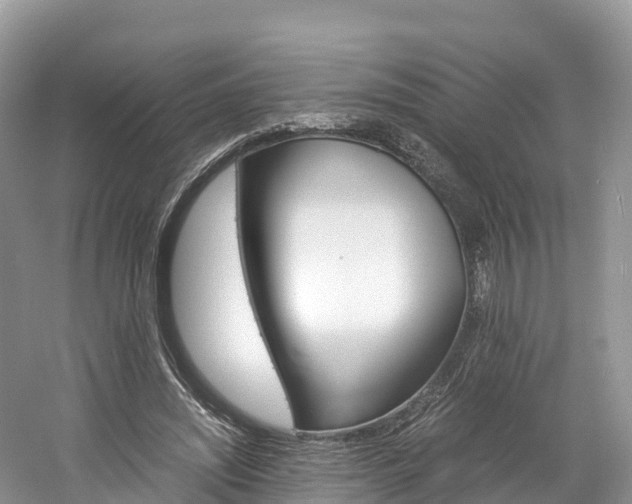X0000061720444200512021046