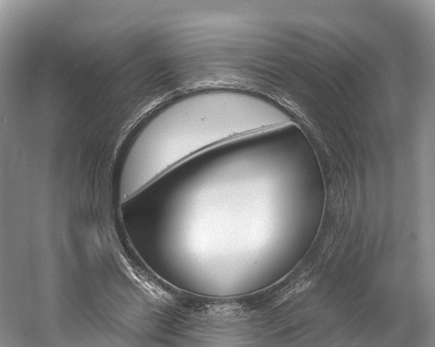 X0000061720446200512021047
