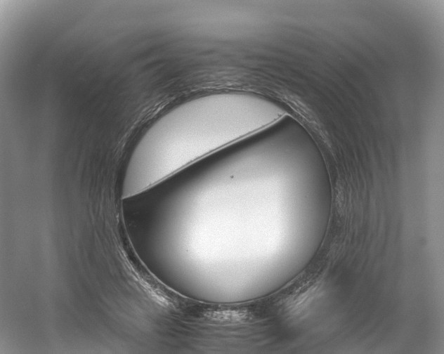 X0000061720449200512021047