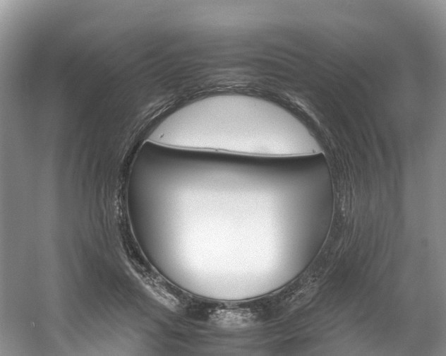 X0000061720455200512021047